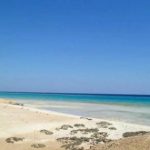 The top tourist attractions in Marsa Alam