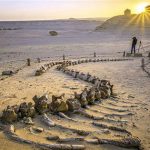 Things to do in fayoum