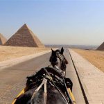 the best experiences in Egypt